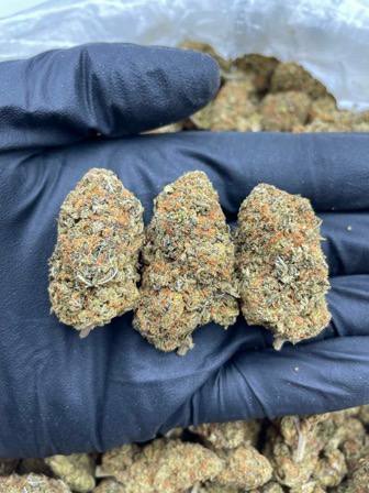 Jelly Wizard Cannabis Jelly WIzard Cannabis